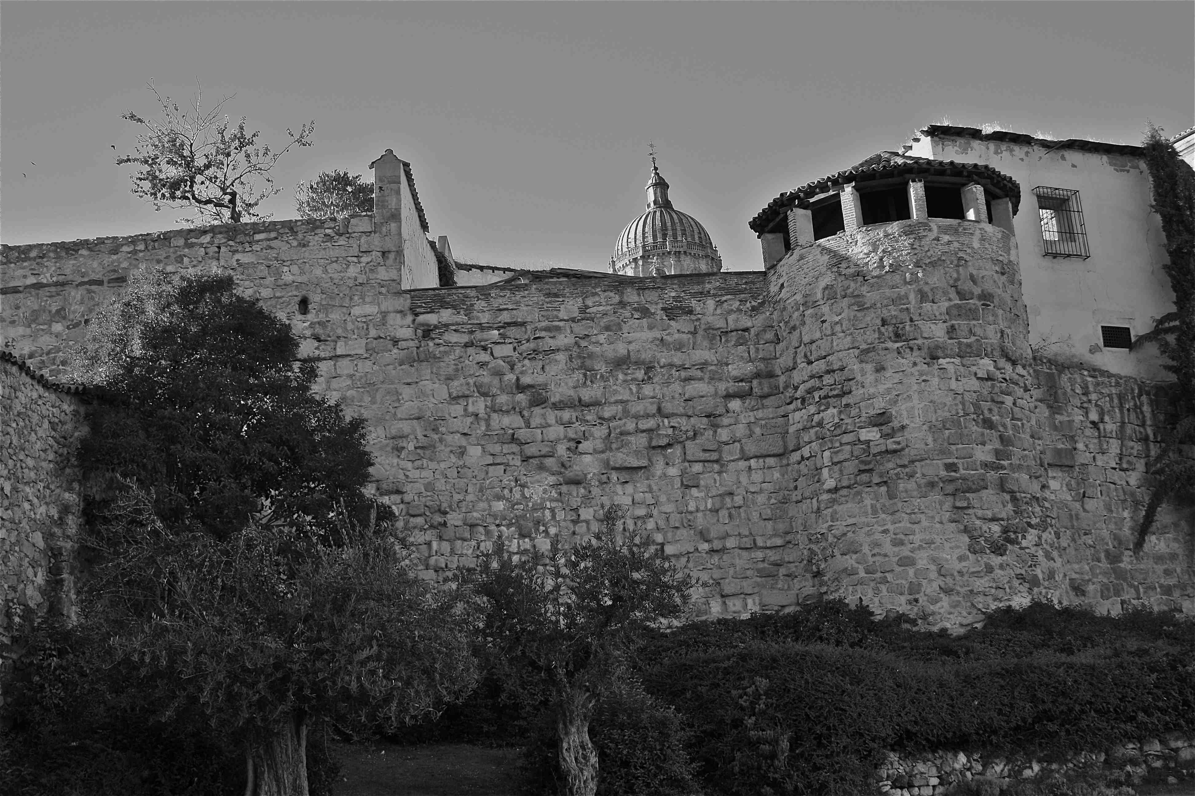 All Salamanca 3