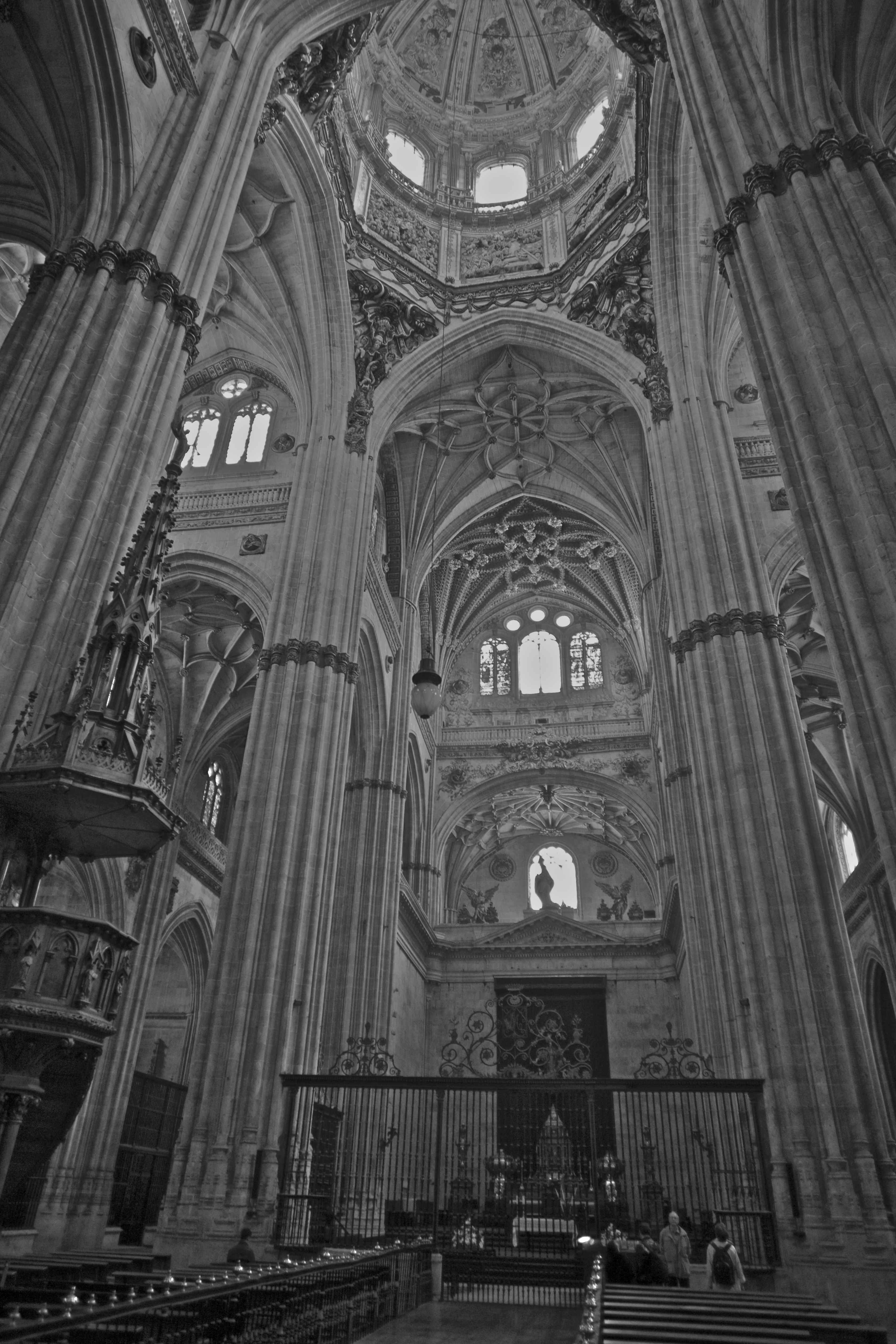 Salamanca al servicio del poder 1