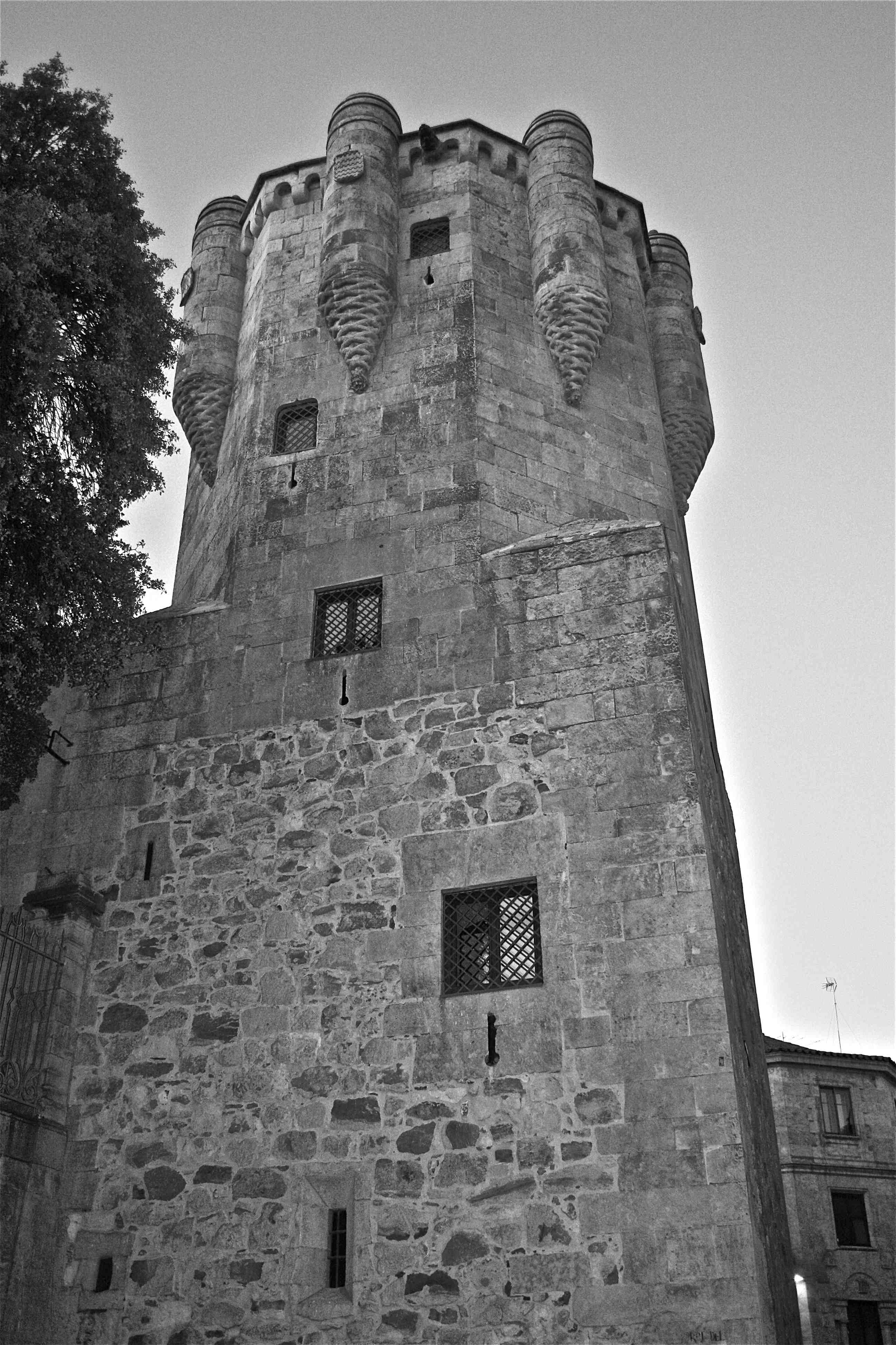 Salamanca al servicio del poder 2