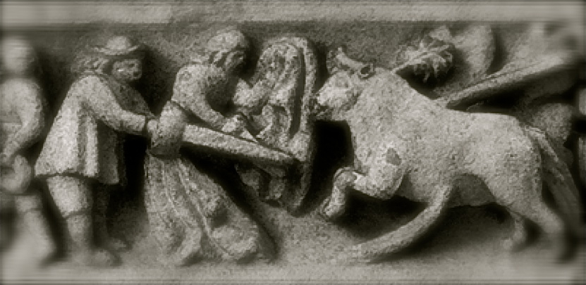 Tauromaquia 3